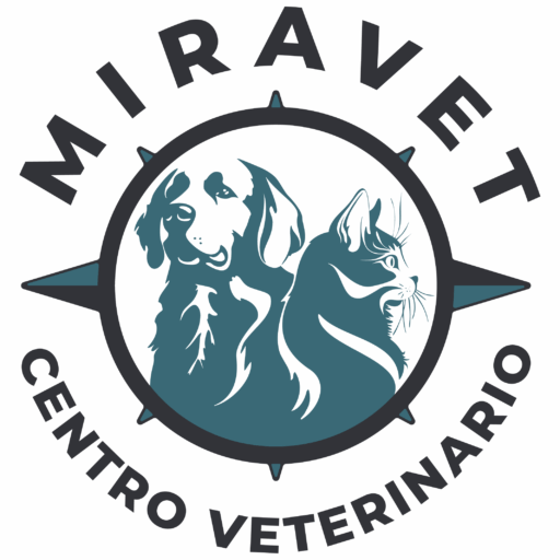 Icono logo miravet pestaña navegador internet